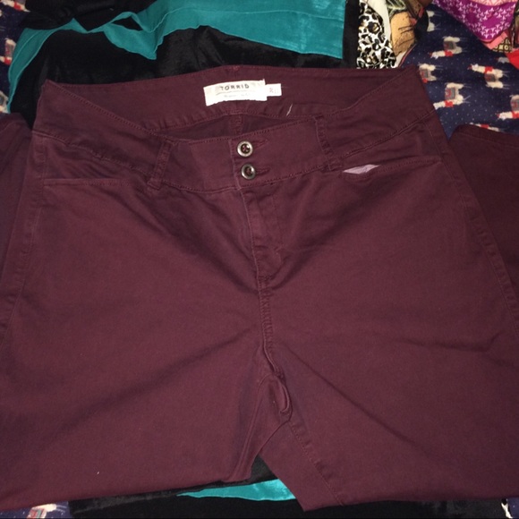 torrid Pants - Torrid Pants